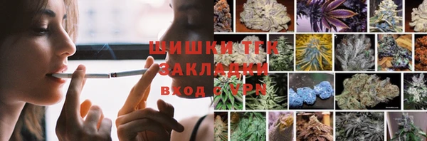 apvp Пересвет