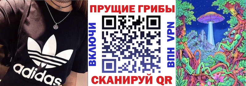 как найти наркотики Отрадное Галлюциногенные грибы ЛСД